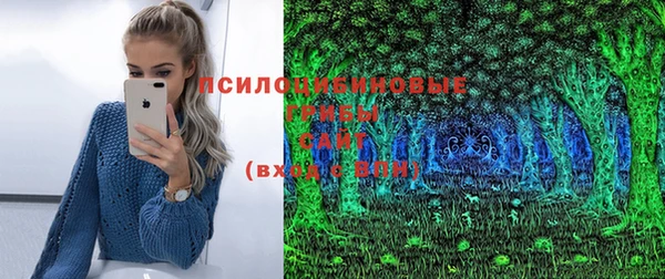 дживик Бугульма