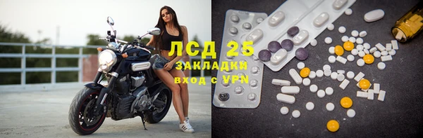 ПСИЛОЦИБИНОВЫЕ ГРИБЫ Снежногорск