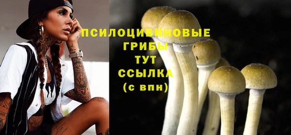 дживик Бугульма