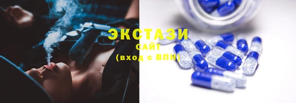 ECSTASY Бородино