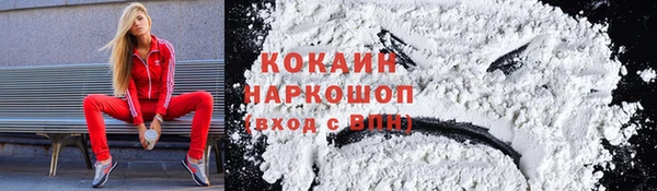 стаф Снежинск