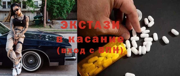 ECSTASY Бородино